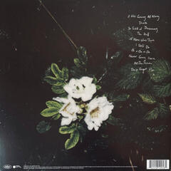 LP deska Maggie Rogers - Don't Forget Me (Limited Edition) (Dogwood Evergreen Coloured) (LP) - 5