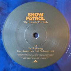 LP ploča Snow Patrol - The Forest Is The Path (Limited Edition) (Blue Marbled Coloured) (2 LP) - 4