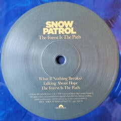 LP ploča Snow Patrol - The Forest Is The Path (Limited Edition) (Blue Marbled Coloured) (2 LP) - 7