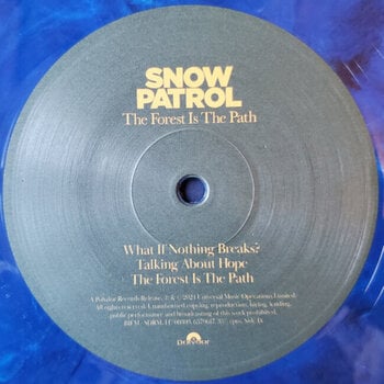 LP ploča Snow Patrol - The Forest Is The Path (Limited Edition) (Blue Marbled Coloured) (2 LP) - 8