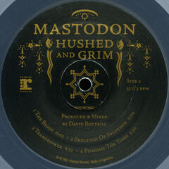 LP ploča Mastodon - Hushed And Grim (Clear Coloured) (2 LP) - 4