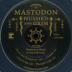 LP ploča Mastodon - Hushed And Grim (Clear Coloured) (2 LP) - 5