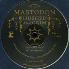 LP ploča Mastodon - Hushed And Grim (Clear Coloured) (2 LP) - 6