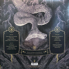 LP ploča Mastodon - Hushed And Grim (Clear Coloured) (2 LP) - 7