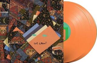 Disque vinyle Animal Collective - Isn't It Now? (Tangerine Coloured) (2 LP) - 1