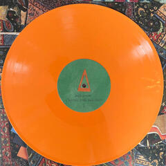 Disque vinyle Animal Collective - Isn't It Now? (Tangerine Coloured) (2 LP) - 3