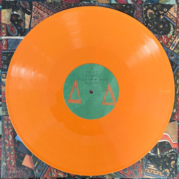 LP ploča Animal Collective - Isn't It Now? (Tangerine Coloured) (2 LP) - 6