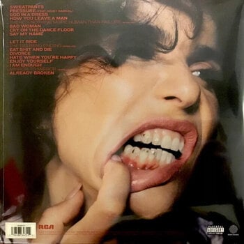 LP ploča Paloma Faith - The Glorification Of Sadness (Clear Coloured) (LP) - 5