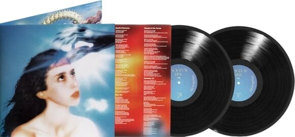 LP ploča Magdalena Bay - Imaginal Disk (2 LP) - 2