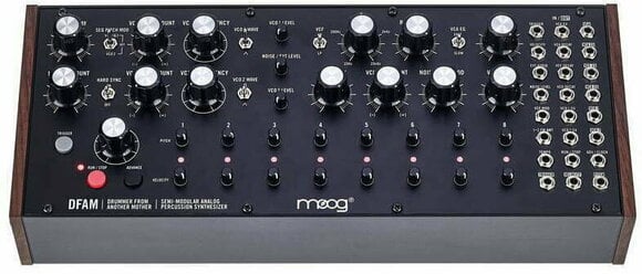 Synthesizer MOOG DFAM - 2