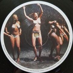 Δίσκος LP Aphex Twin - Windowlicker (LP) - 3