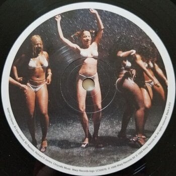 Vinyl Record Aphex Twin - Windowlicker (LP) - 4