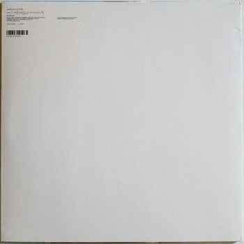 Vinyl Record Aphex Twin - Windowlicker (LP) - 5