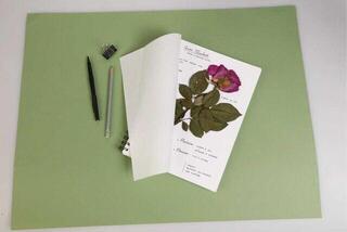 Sketchbook Clairefontaine Herbarium Sketchbook 21 x 21 cm 180 g - 1