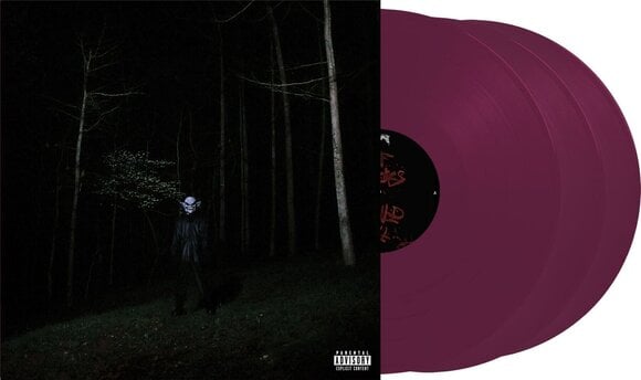 Disc de vinil Destroy Lonely - If Looks Could Kill (Purple Translucent Coloured) (3 LP) - 2