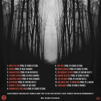 Δίσκος LP Lloyd Banks - Halloween Havoc IV: The 72nd Hr (12" Vinyl) - 3