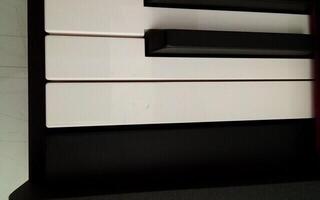 Digitaal stagepiano Korg D1 Digitaal stagepiano Black (Zo goed als nieuw) - 2