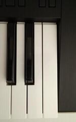 Teclado profissional Yamaha PSR-SX700 Teclado profissional (Tao bons como novos) - 3