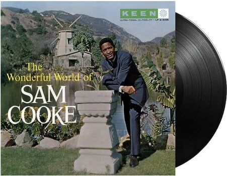 LP plošča Sam Cooke - The Wonderful World Of Sam Cooke (180 g) (LP) - 2