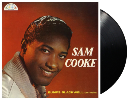 LP deska Sam Cooke - Sam Cooke (180 g) (LP) - 2