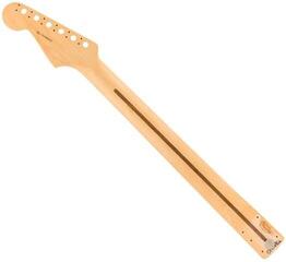 Guitar Neck Fender American Channel Bound Stratocaster 21 Guitar Neck - 1
