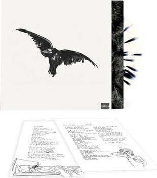 Disc de vinil Conan Gray - Kid Krow, Decomposed (Anniversary Edition) (White with Black Splatter Coloured) (LP) - 2