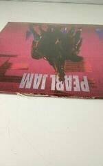 Disc de vinil Pearl Jam - Ten (Reissue) (Remastered) (LP) (Defect) - 2