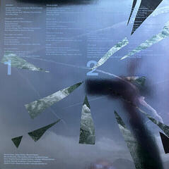 Vinyylilevy David Koller - Best of (Coloured) (Limited Edition) (2 LP) - 2