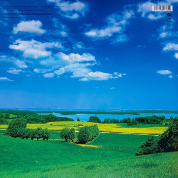 LP ploča David Bowie - Earthling (180 g) (Reissue) (Remastered) (2 LP) - 6