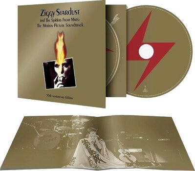 Muzički CD David Bowie - Ziggy Stardust And The Spiders (Reissue) (Remastered) (2 CD) - 2