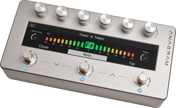 Bas gitarski multiefekt Darkglass Anagram Bas gitarski multiefekt - 3