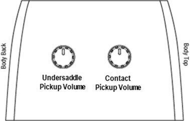 Electro-acoustic guitar Ibanez ACFS580CE-OPS Open Pore Semi Gloss Electro-acoustic guitar (Just unboxed) - 8