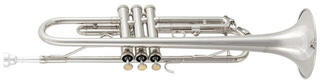 Bb Trumpet Latone LTR 500 Silver Elegance Bb Trumpet - 2