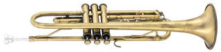 Bb Trumpet Latone LTR 800 Antique Brass Bb Trumpet - 2