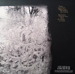 Disque vinyle Bon Iver - For Emma, Forever Ago (Insert) (LP) - 2