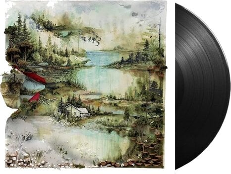 LP platňa Bon Iver - Bon Iver (Reissue) (LP) - 2