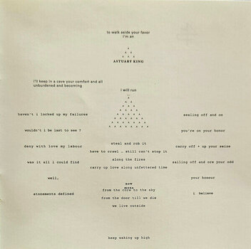 Muzički CD Bon Iver - 22, A Million (Digipak) (CD) - 16