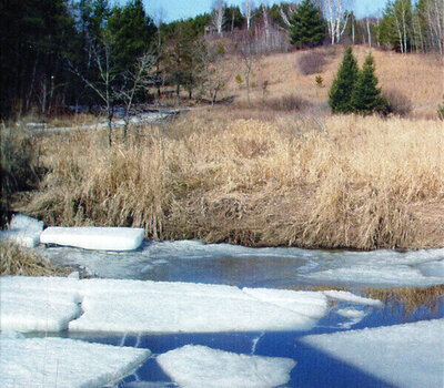 CD диск Bon Iver - For Emma, Forever Ago (CD) - 8