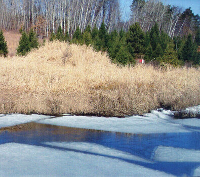 CD диск Bon Iver - For Emma, Forever Ago (CD) - 9