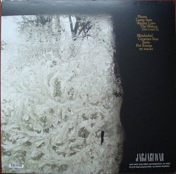 Vinylplate Bon Iver For Emma, Forever Ago (Insert) (LP) - 5