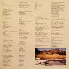Disque vinyle Bon Iver - For Emma, Forever Ago (Insert) (LP) - 7