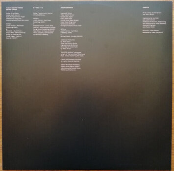 LP ploča Bon Iver - Sable Fable (45 RPM) (2 LP) - 14