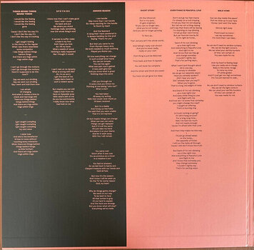 Hanglemez Bon Iver - Sable Fable (Black & Salmon Coloured) (2 LP) - 5