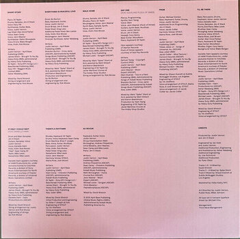 Hanglemez Bon Iver - Sable Fable (Black & Salmon Coloured) (2 LP) - 7