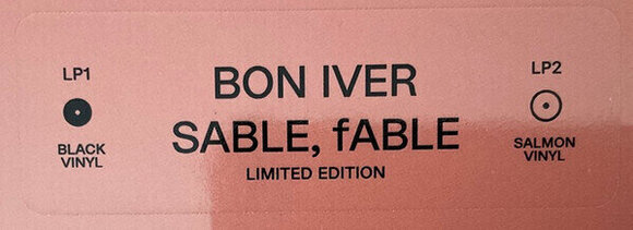 Hanglemez Bon Iver - Sable Fable (Black & Salmon Coloured) (2 LP) - 8