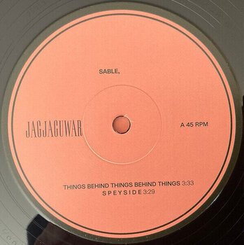 Hanglemez Bon Iver - Sable Fable (Black & Salmon Coloured) (2 LP) - 15