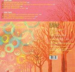 Schallplatte The Flaming Lips - Ego Tripping At The Gates Of Hell (Glow In The Dark Green Coloured) (LP) - 2