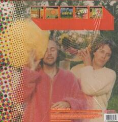 Hanglemez The Flaming Lips - Yoshimi Battles The Pink Robot (Deluxe Edition) (5 LP) - 2