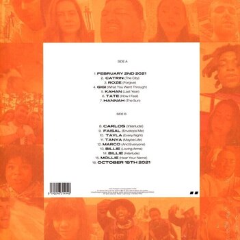 LP ploča Fred Again.. - Actual Life 2 (Clear Coloured) (LP) - 3