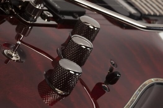 Električna gitara Schecter Hellraiser C-1 FR S Black Cherry Električna gitara - 7